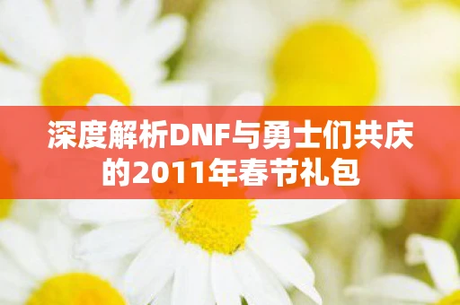 深度解析DNF与勇士们共庆的2011年春节礼包