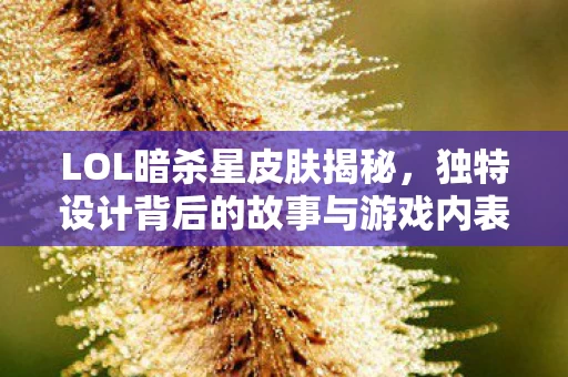 独特设计背后的故事与游戏内表现图片