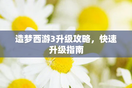 造梦西游3升级攻略，快速升级指南