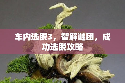 车内逃脱3，智解谜团，成功逃脱攻略