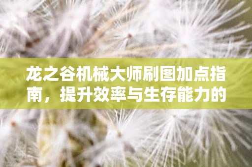 龙之谷机械大师刷图加点指南，提升效率与生存能力的关键