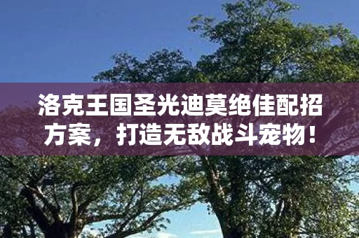 洛克王国圣光迪莫绝佳配招方案图片