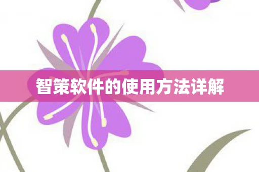 智策软件的使用方法详解