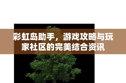 彩虹岛助手，游戏攻略与玩家社区的完美结合资讯