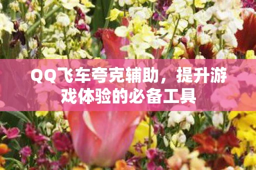 QQ飞车夸克辅助，提升游戏体验的必备工具