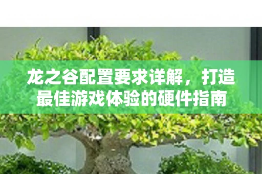 龙之谷配置要求详解，打造最佳游戏体验的硬件指南