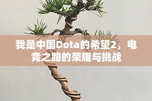 我是中国Dota的希望2，电竞之路的荣耀与挑战