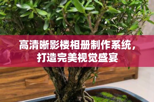 高清晰影楼相册制作系统，打造完美视觉盛宴