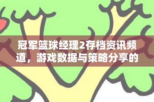 冠军篮球经理2存档资讯频道图片