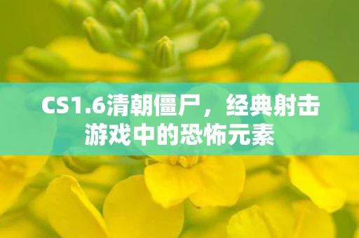 CS1.6清朝僵尸，经典射击游戏中的恐怖元素