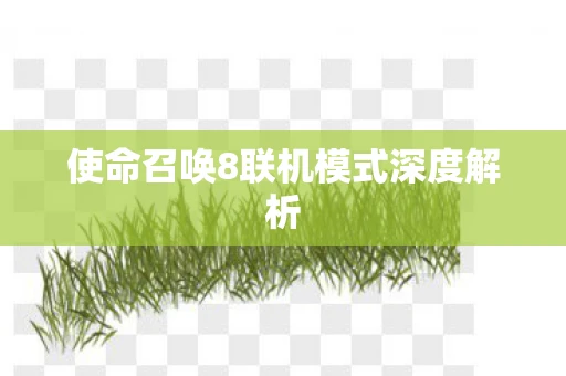 使命召唤8联机模式深度解析