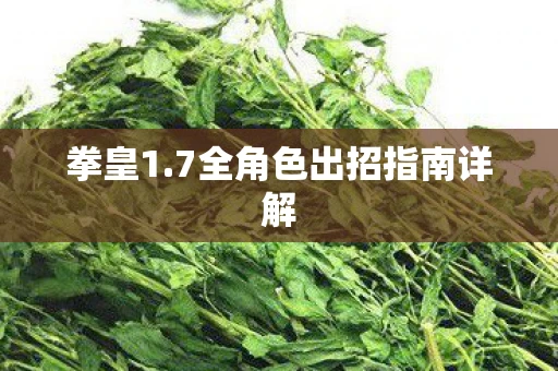 拳皇1.7全角色出招指南详解