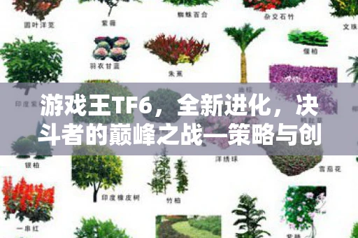 游戏王TF6，全新进化，决斗者的巅峰之战—策略与创新的融合