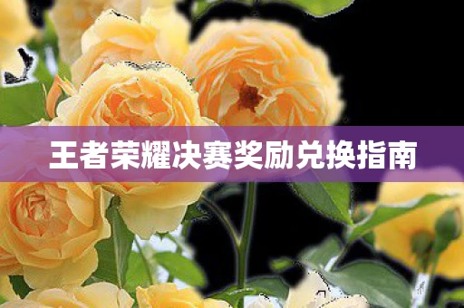 王者荣耀决赛奖励兑换指南