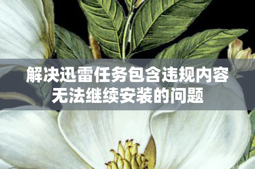 解决迅雷任务包含违规内容无法继续安装的问题