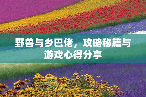 野兽与乡巴佬，攻略秘籍与游戏心得分享