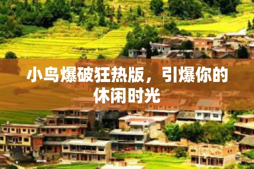 小鸟爆破狂热版，引爆你的休闲时光