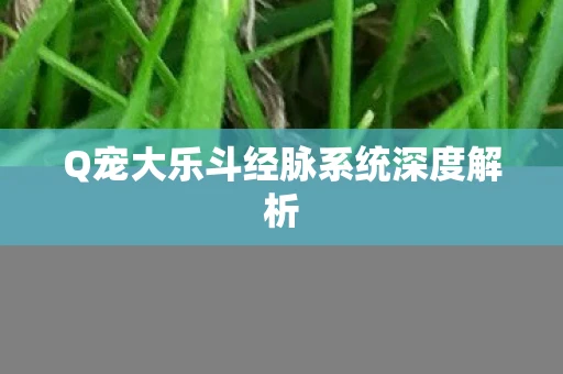 Q宠大乐斗经脉系统深度解析