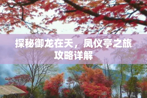 探秘御龙在天，凤仪亭之旅攻略详解