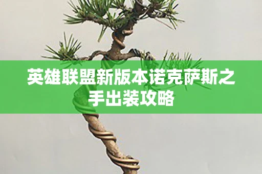 英雄联盟新版本诺克萨斯之手出装攻略