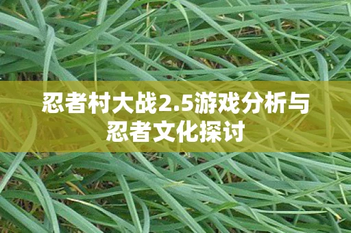 忍者村大战2.5游戏分析与忍者文化探讨