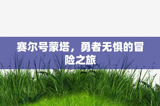 赛尔号蒙塔，勇者无惧的冒险之旅