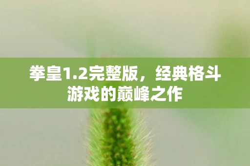 经典格斗游戏的巅峰之作图片