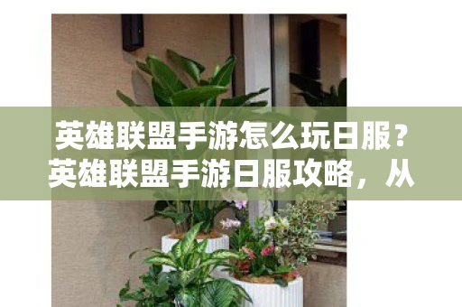 英雄联盟手游怎么玩日服？英雄联盟手游日服攻略，从入门到精通