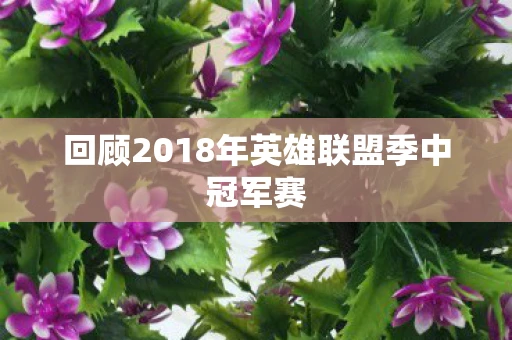 回顾2018年英雄联盟季中冠军赛