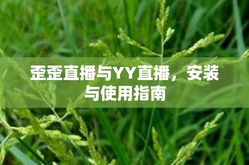 歪歪直播与YY直播，安装与使用指南