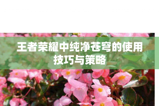 王者荣耀中纯净苍穹的使用技巧与策略