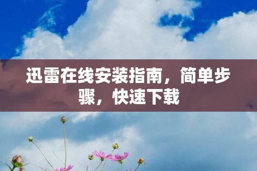 迅雷在线安装指南，简单步骤，快速下载