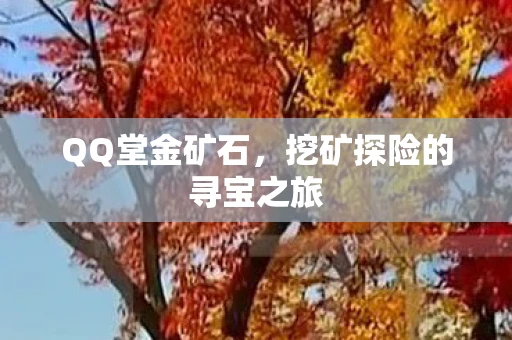 QQ堂金矿石，挖矿探险的寻宝之旅