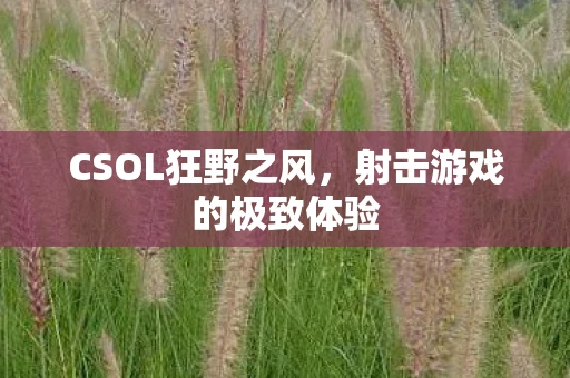 CSOL狂野之风，射击游戏的极致体验