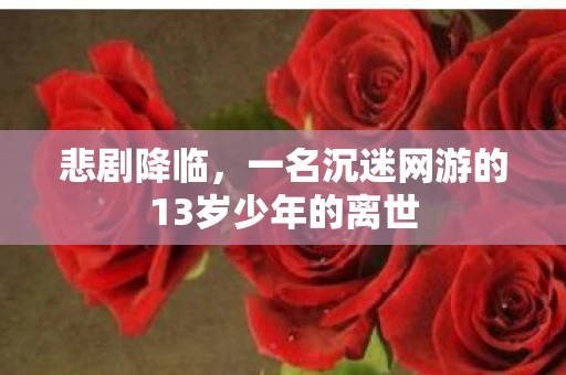 悲剧降临，一名沉迷网游的13岁少年的离世
