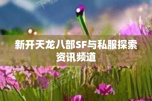 新开天龙八部SF与私服探索资讯频道