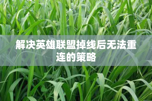 解决英雄联盟掉线后无法重连的策略