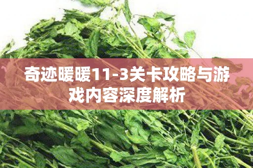 奇迹暖暖11-3关卡攻略与游戏内容深度解析