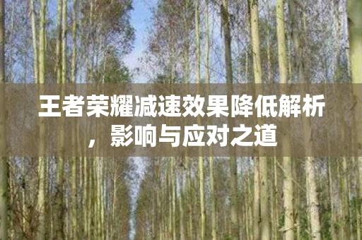 王者荣耀减速效果降低解析，影响与应对之道