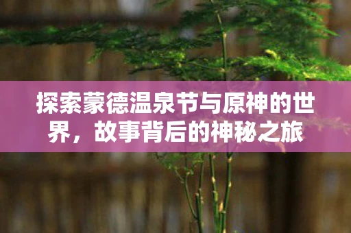 探索蒙德温泉节与原神的世界，故事背后的神秘之旅