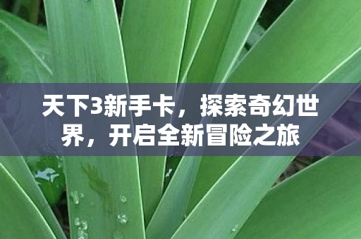 天下3新手卡，探索奇幻世界，开启全新冒险之旅