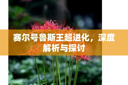 赛尔号鲁斯王超进化，深度解析与探讨