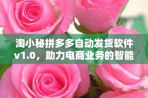 淘小秘拼多多自动发货软件v1.0，助力电商业务的智能化管理