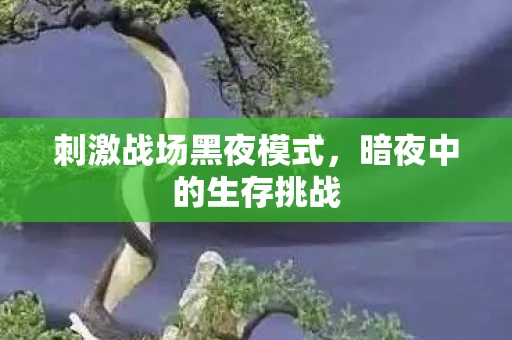 刺激战场黑夜模式，暗夜中的生存挑战