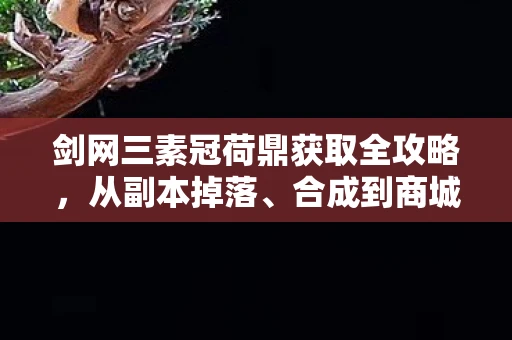 剑网三素冠荷鼎获取全攻略，从副本掉落、合成到商城购买