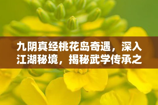 九阴真经桃花岛奇遇，深入江湖秘境，揭秘武学传承之谜