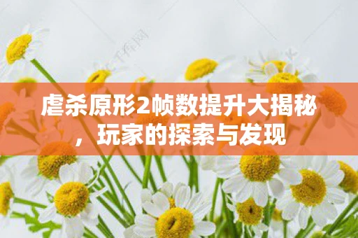 虐杀原形2帧数提升大揭秘，玩家的探索与发现