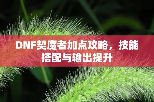 DNF契魔者加点攻略，技能搭配与输出提升