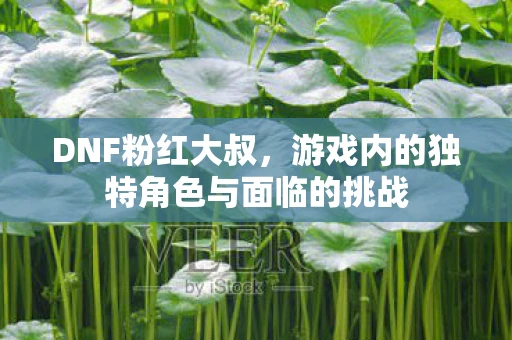 DNF粉红大叔，游戏内的独特角色与面临的挑战