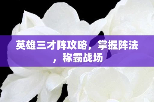 英雄三才阵攻略，掌握阵法，称霸战场